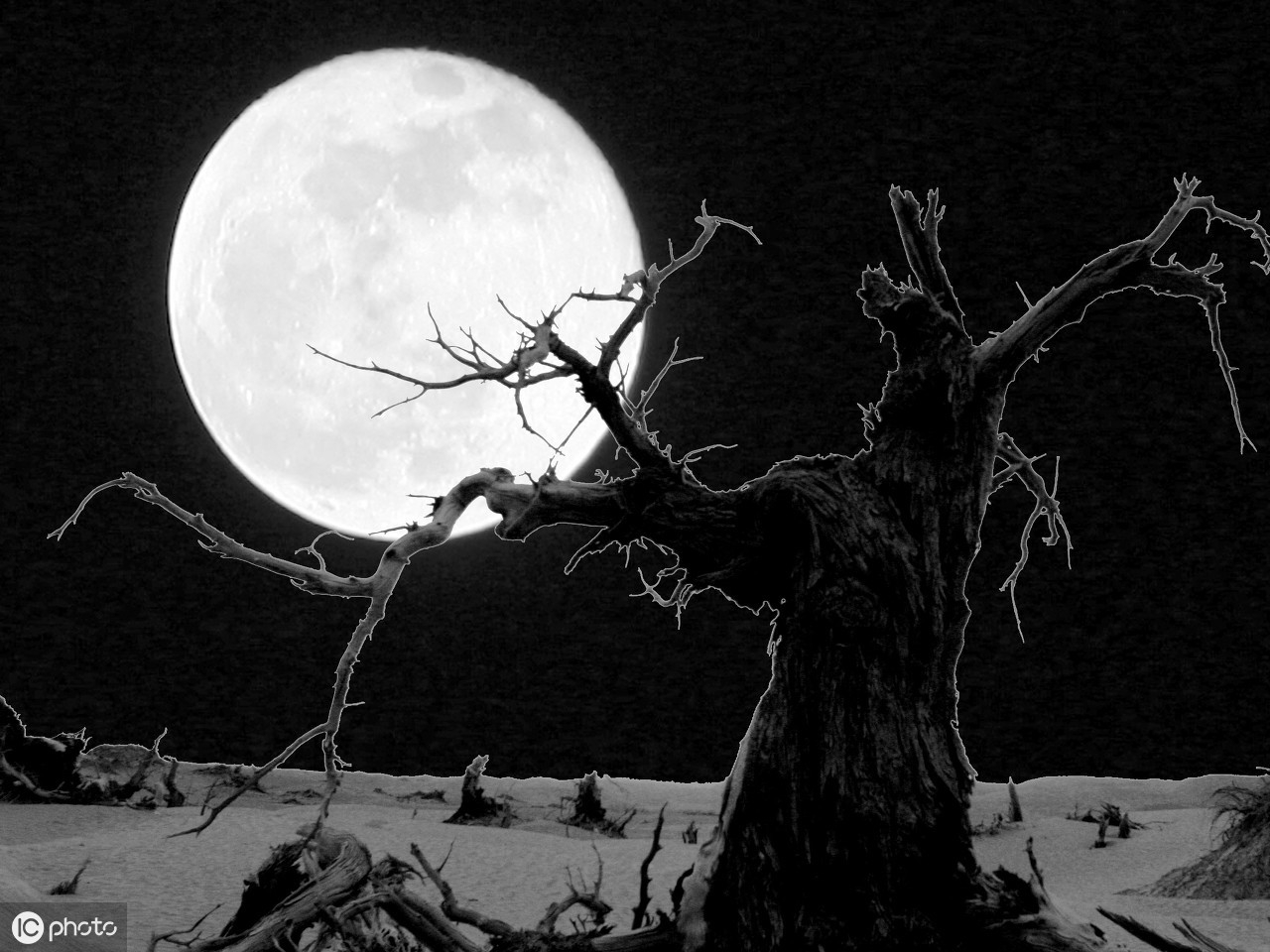 央视策划中秋晚会的具体方案,公司中秋晚会低费用策划方案