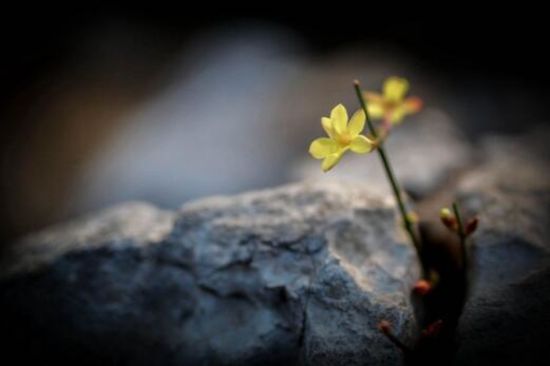 创业就是创造自信,创业才是自己的事业