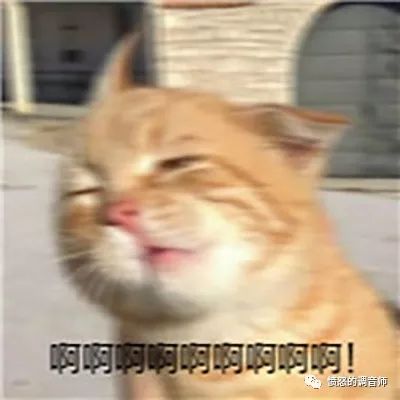 演出场地回声很大怎么办？看完音响佬都哭了「愤怒的调音师」