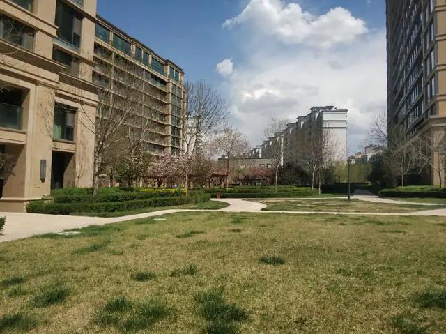 绿地城二期绿化乌鲁木齐,乌鲁木齐中海万锦公馆绿化环境