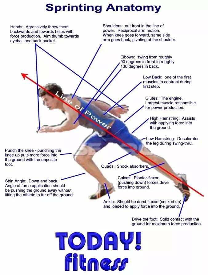 灵敏梯训练方法,灵敏训练的内容