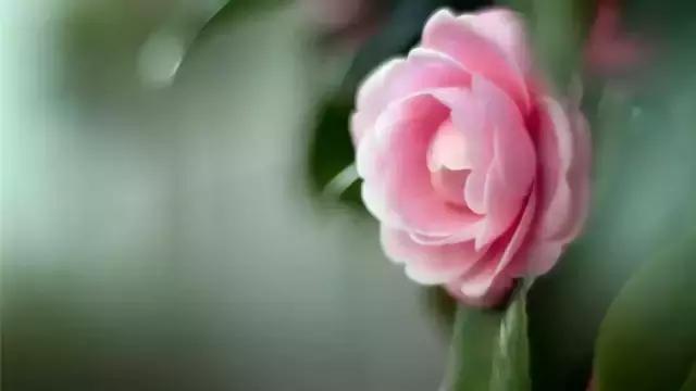 耶稣说人活着就是受苦受累的,耶稣讲一切都是最好的安排