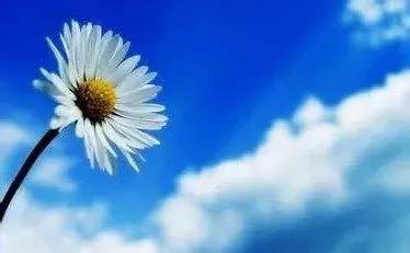 学畅国际教育靠谱吗,上海学畅国际教育官网