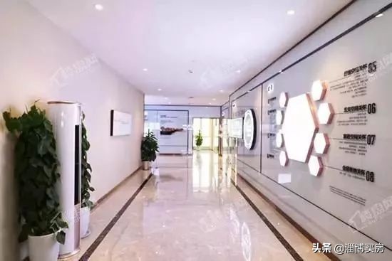 淄博张店区中小学划片,2022张店中小学划片查询