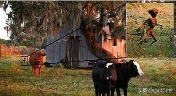 那些已被破解的世界未解之谜,到现在还没有解开的世界未解之谜