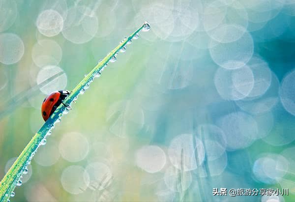 照片不清晰如何搞清晰,照片模糊没有质感怎么办