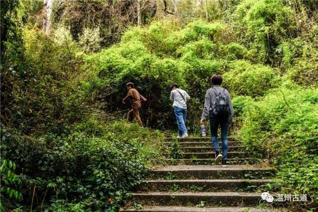 悬崖栈道景区游览图,旅游绝壁栈道探险