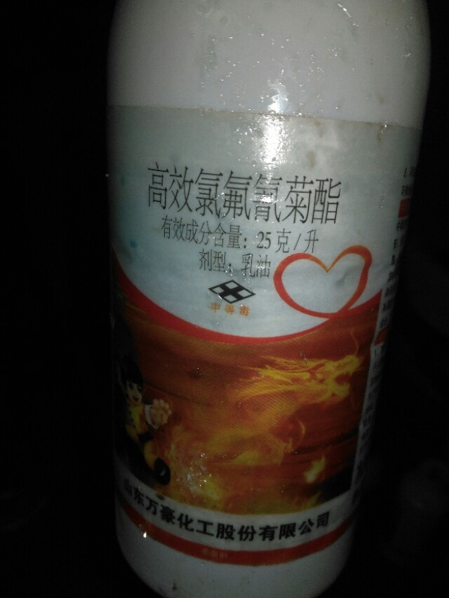 现在橙子打药都是打什么药,橙子一年四季都打什么药