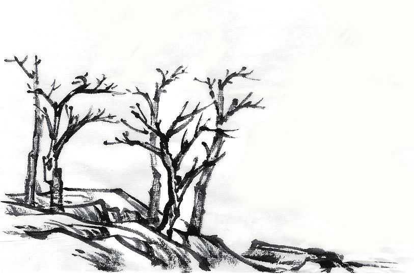 零基础画山水画教程,山水画三级考级范画