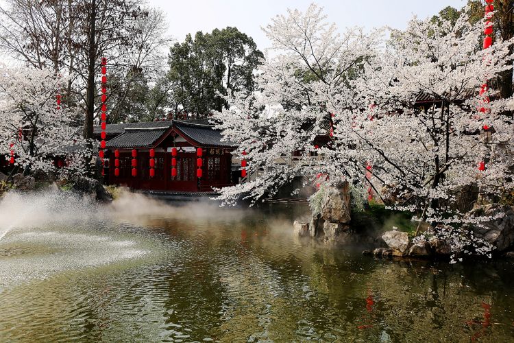 鑻遍泟褰掓潵妯辫姳鏈夌害,妯辫姳鐩涘紑鑻遍泟褰掓潵瀹屾暣瑙嗛