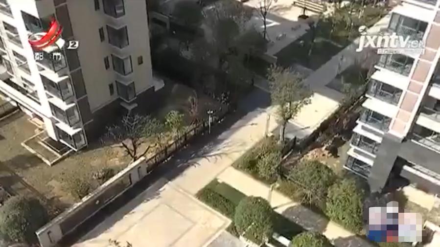 南昌中兴和园带院子,南昌市中兴和园一期