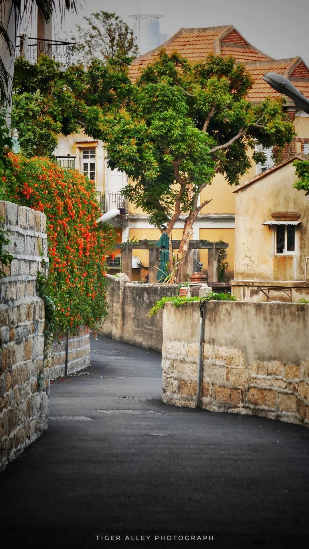 浪漫的夏天藏在厦门的海风里,厦门的夏天又热又浪漫