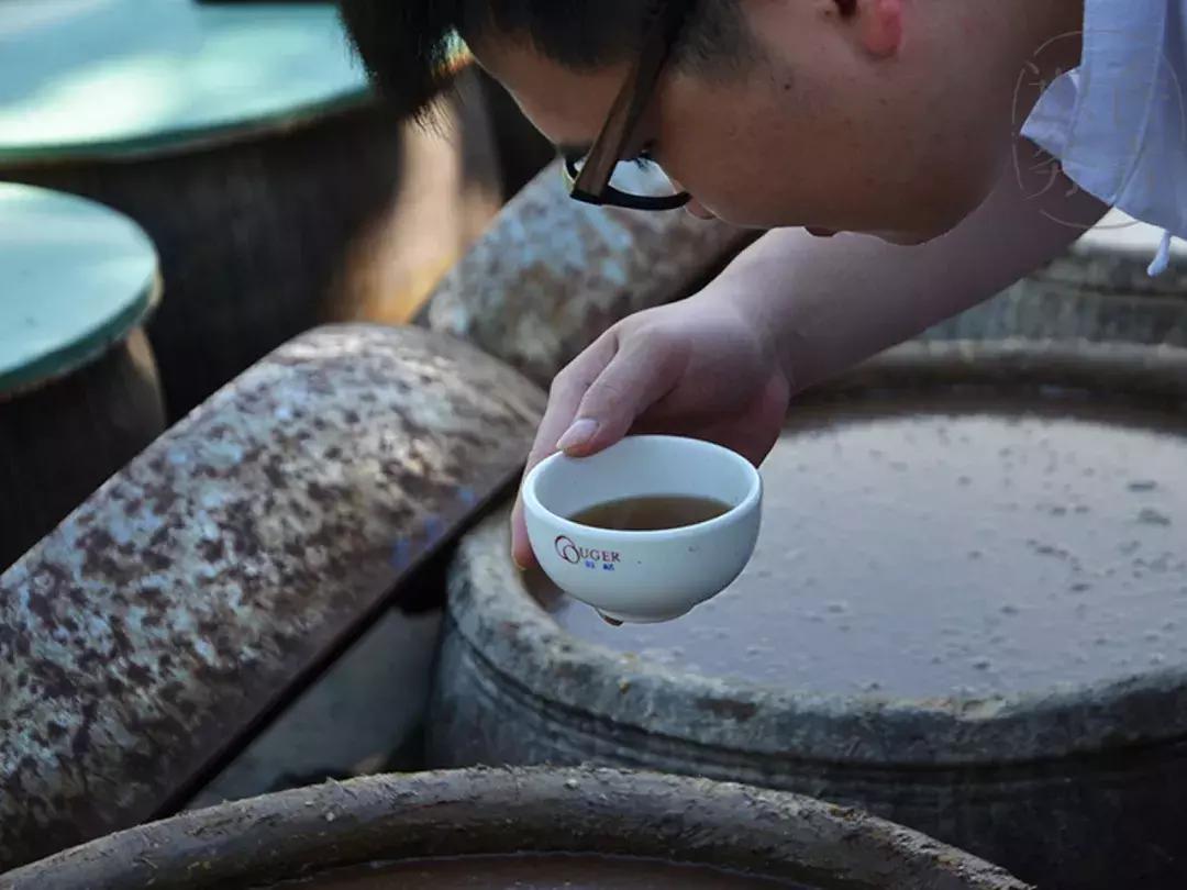 潮汕人说的鱼露,潮汕鱼露什么味道