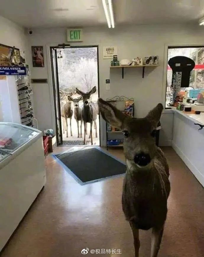 国外笑死人的骚操作,外国网友骚操作