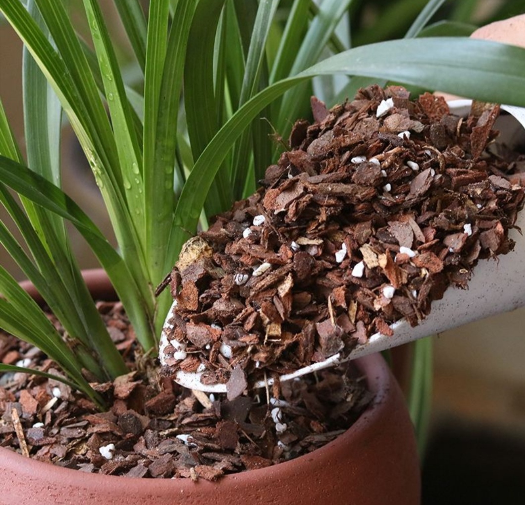 养花的轻质材料,养花积水烂根怎么处理