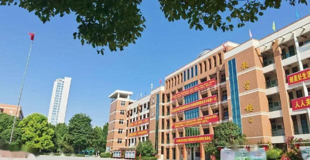 私立学校停止办学,教育大变革私立学校