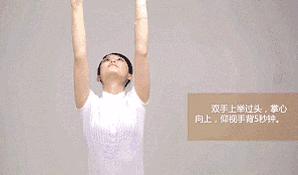 宠物美容师得病,宠物美容师死了谁负责