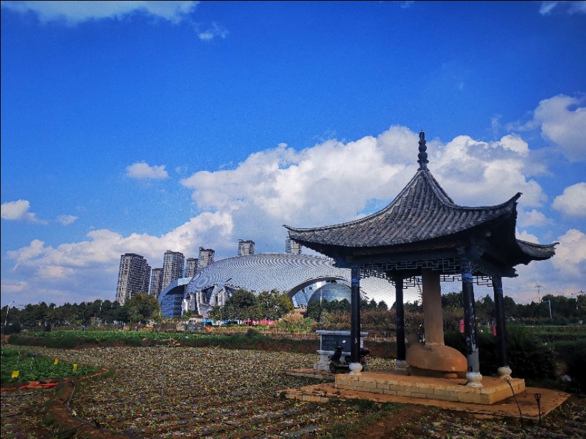 赏景听歌笑红尘,秋叶笑红尘赏析