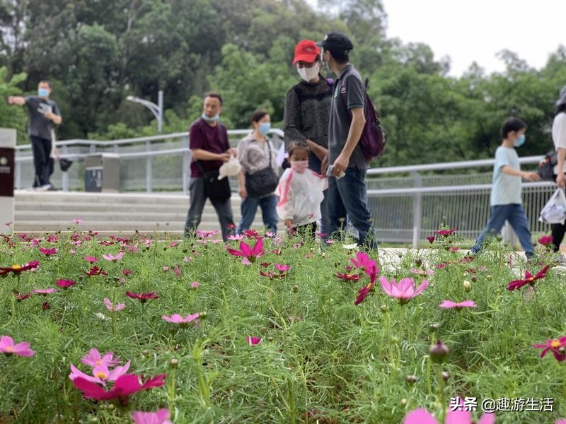 广州云道的5个入口,广州云道线路图高清版大图