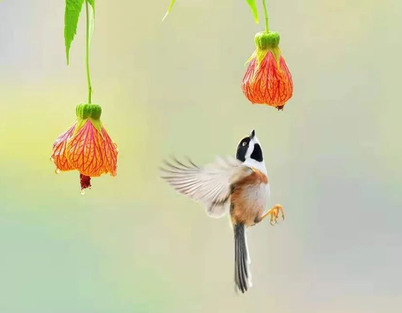 贵港2019语文中考试题及答案,贵港中考语文试卷2022及答案解析