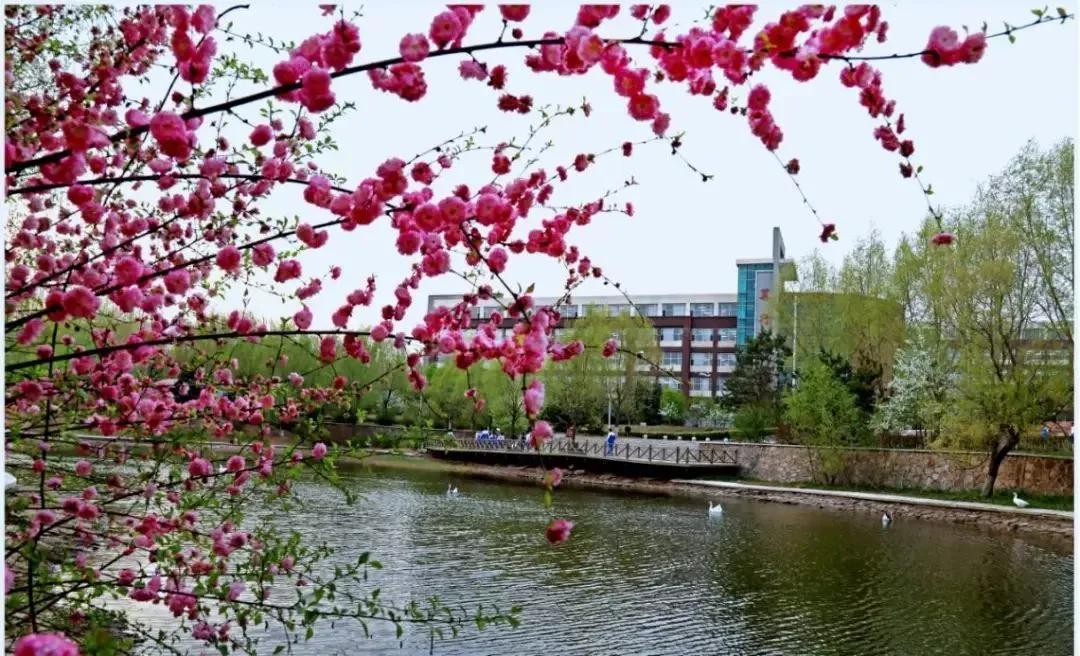 长春高中名校排行榜最新,长春三类高中值得上么