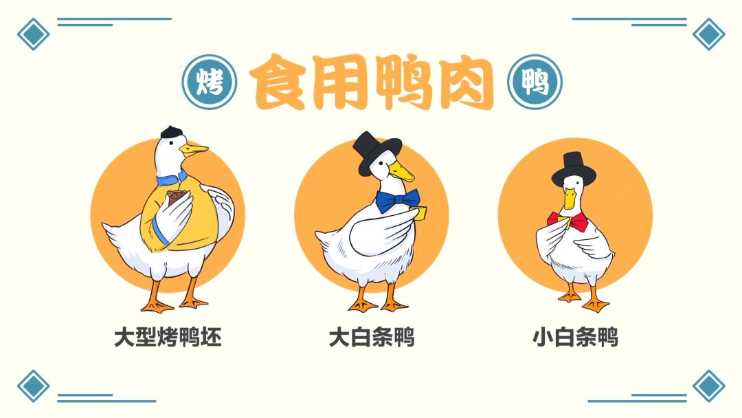 街边售卖的18元烤鸭,街边18元一只烤鸭哪个部位不能吃