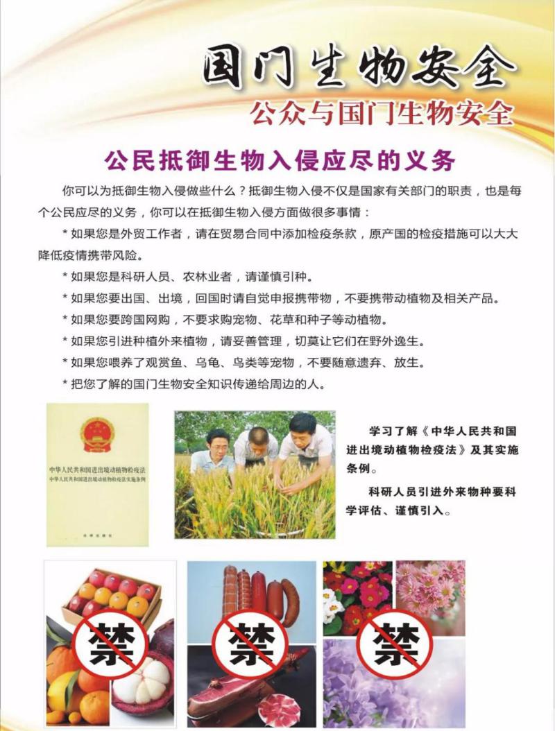 全民国家安全教育日保护公众健康,4.15全民国家安全教育日主题宣传