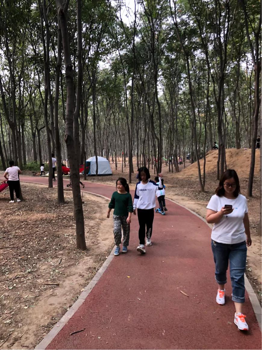 郑州免费公园树木园,郑州树木园开放