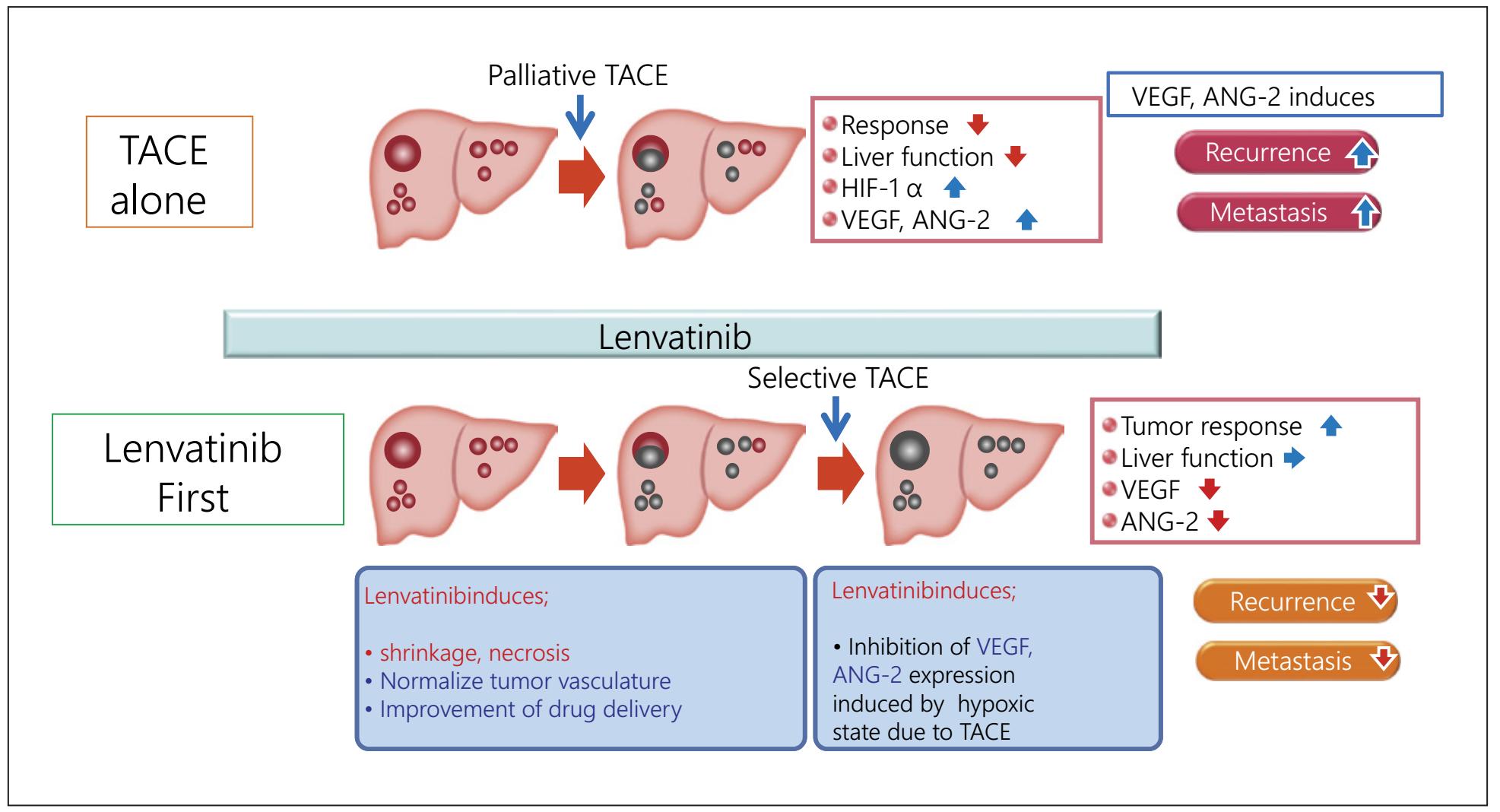 中晚期肝癌的靶向治疗与免疫治疗,肝介入栓塞后多久可以用靶向药