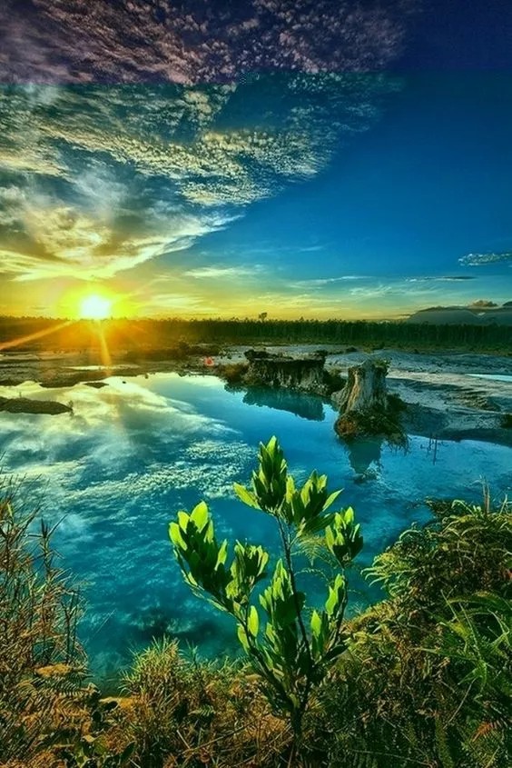 盛夏的果实,盛夏的果实歌曲歌词