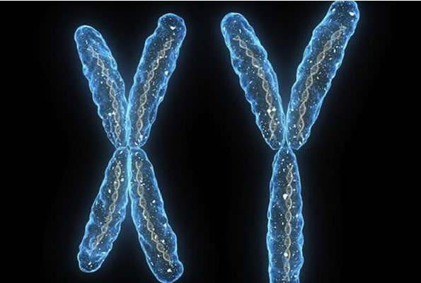 中国人小脚指甲分瓣什么原因,小脚趾甲分两瓣是汉人的特征吗