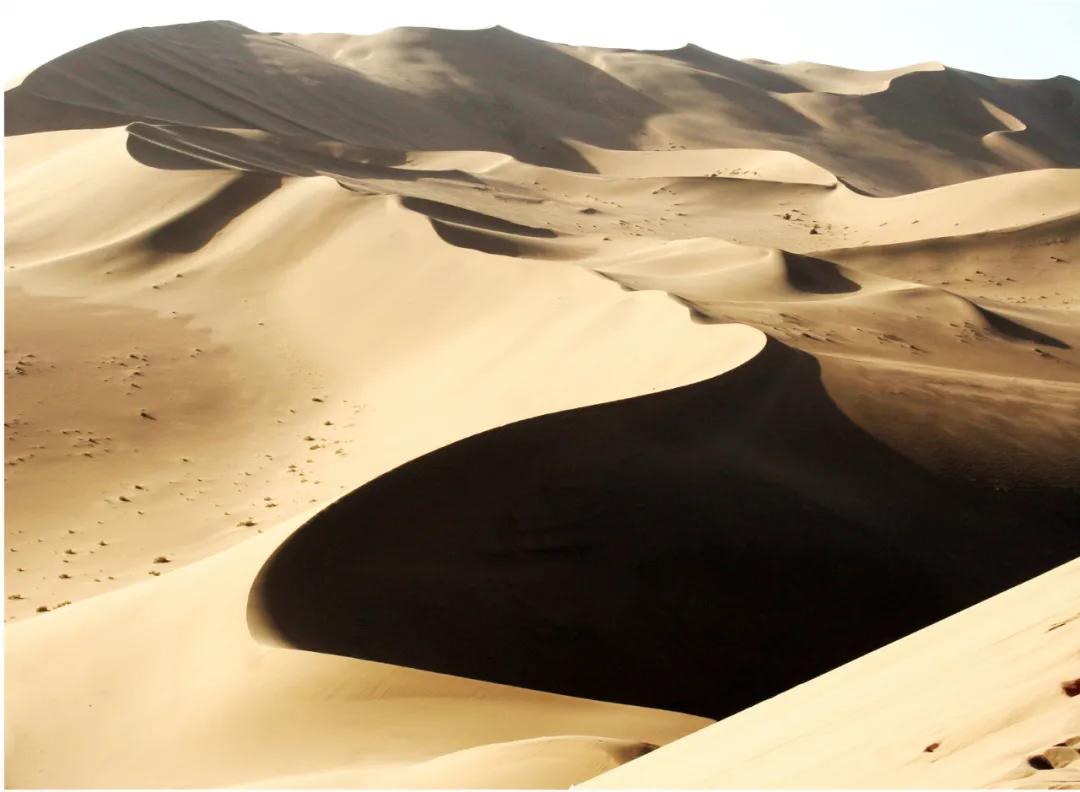 奈曼扶贫一点通,奈曼百企帮百村扶贫