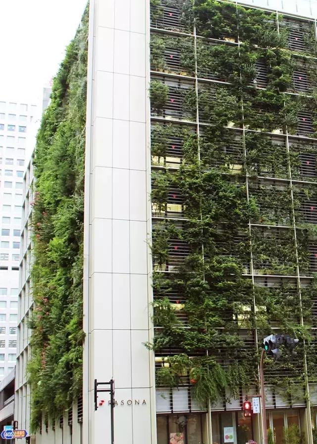 办公室里也能开挖掘机,办公室可以种葡萄