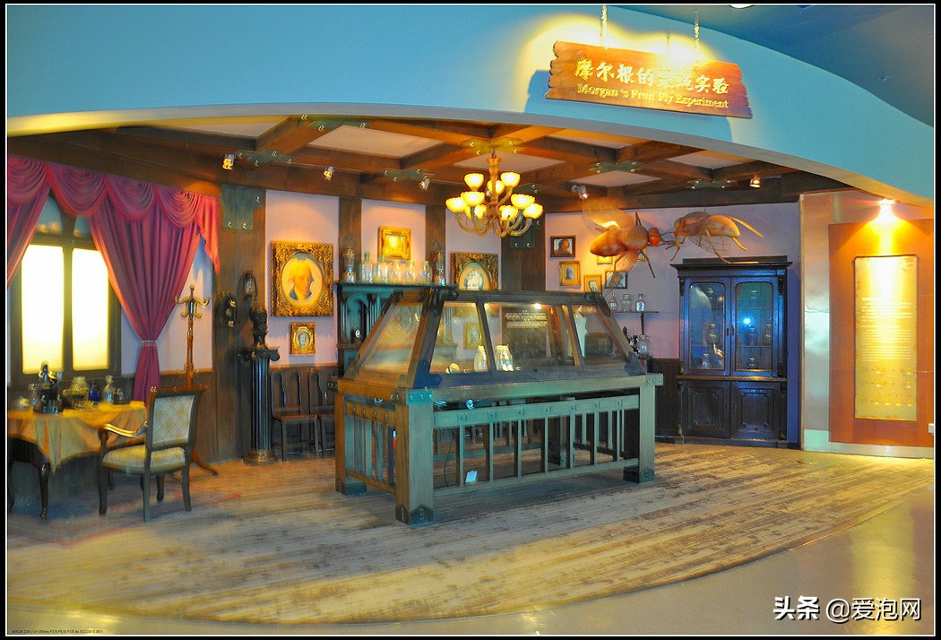 上海科技馆游玩攻略,上海科技馆亲子游玩攻略