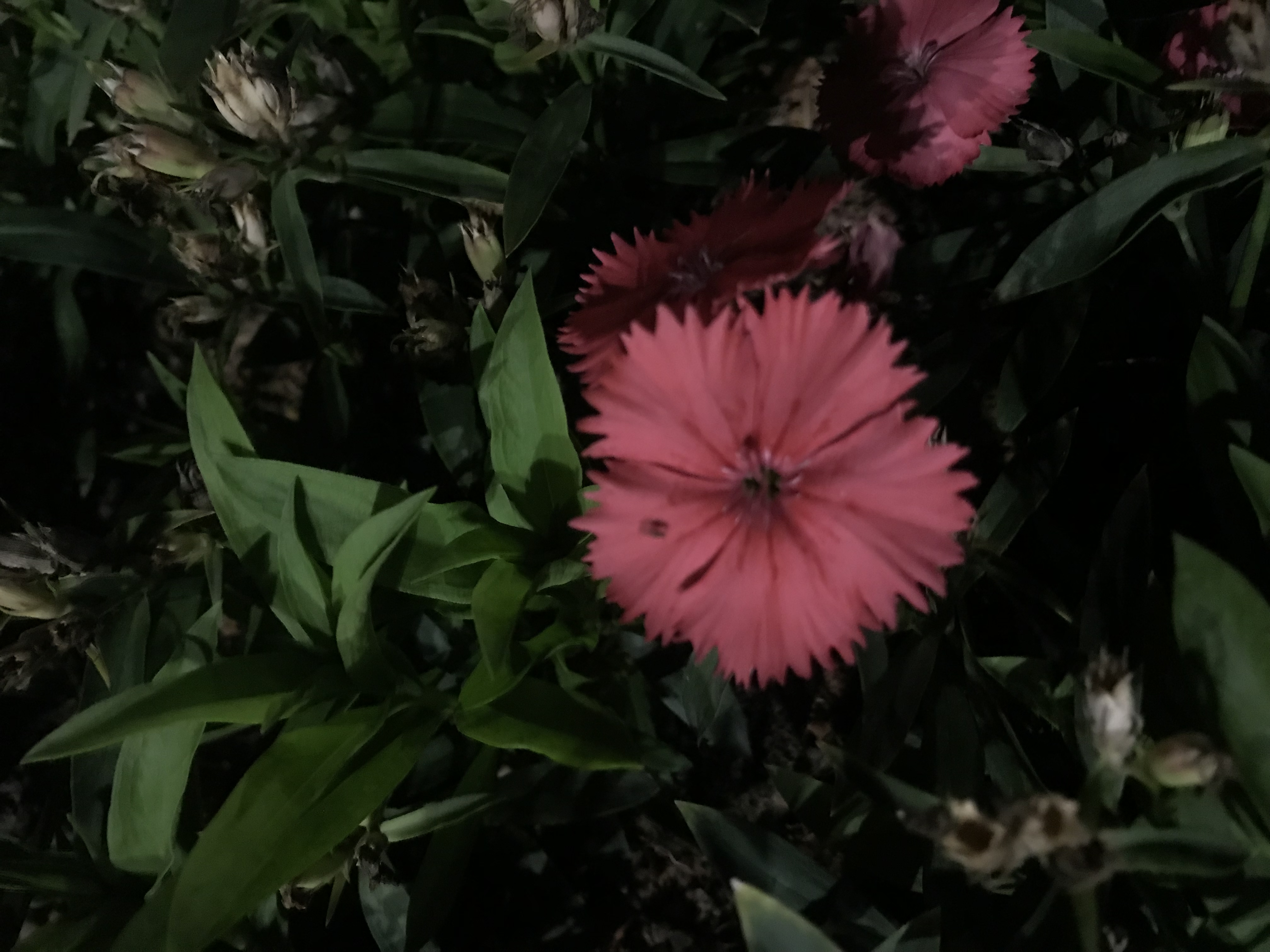 恋爱要给对方足够的空间和时间,恋爱需要彼此给对方一次机会