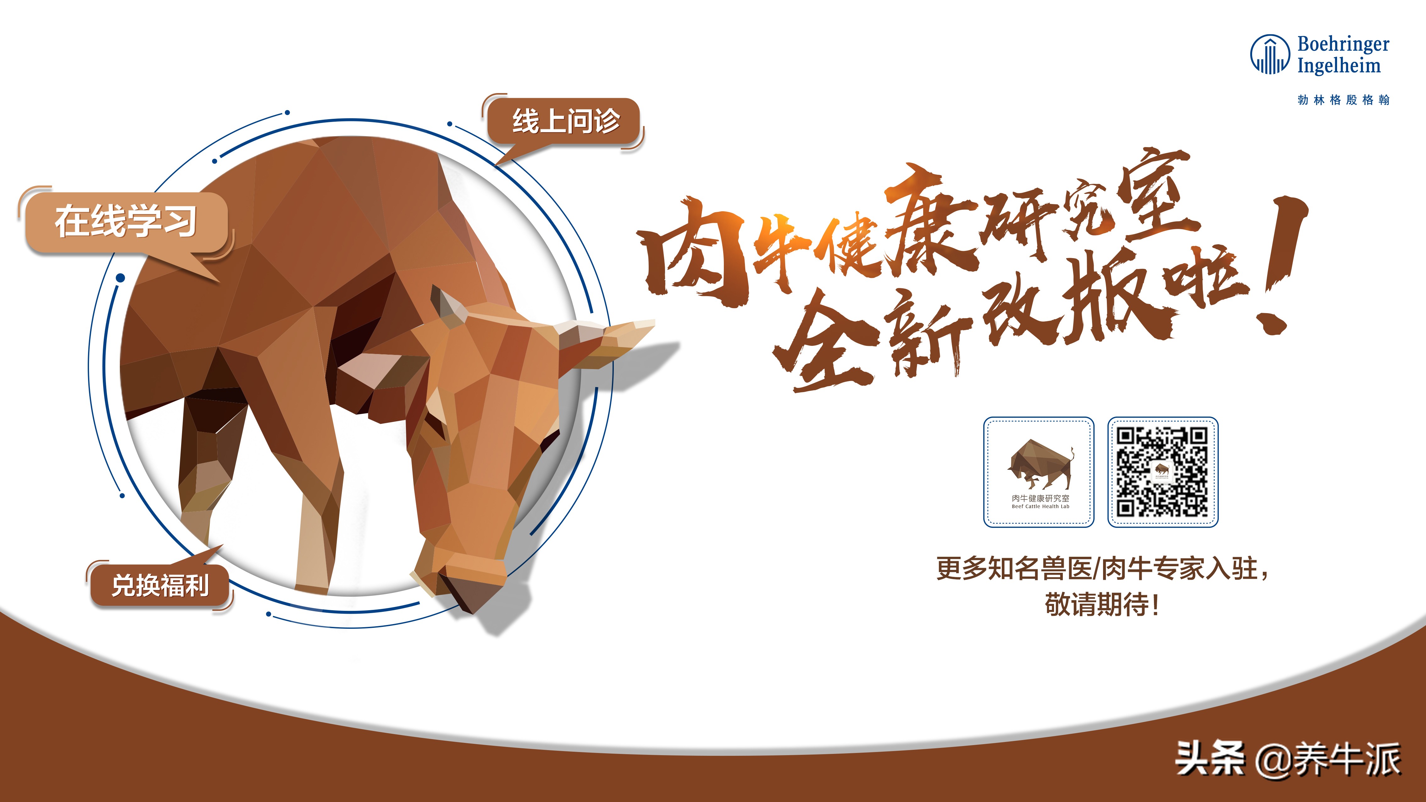 2022肉牛产业分析报告,肉牛牦牛产业前景