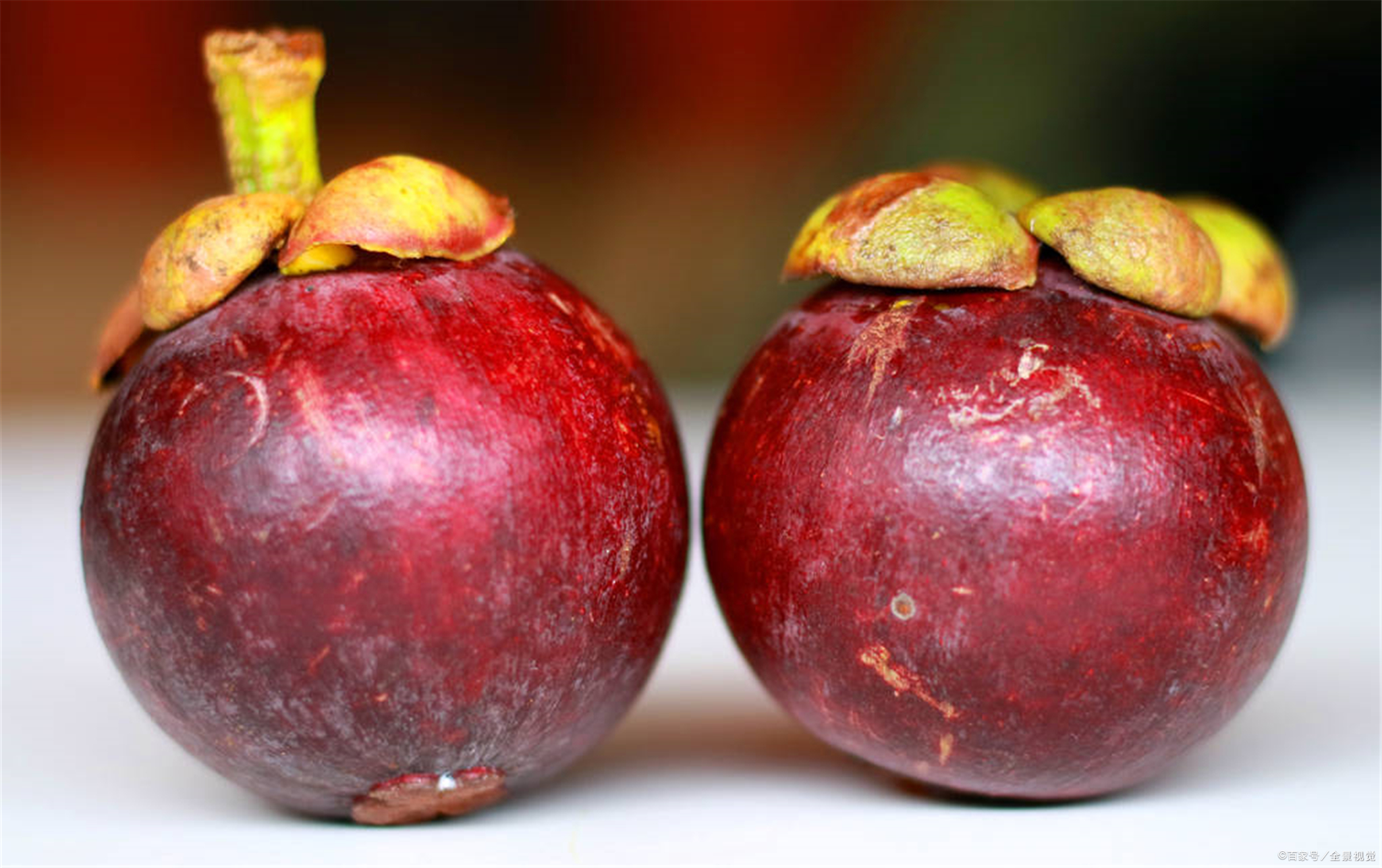 山竹产地采摘方法有哪些,山竹选购秘籍挑选一颗完美的山竹