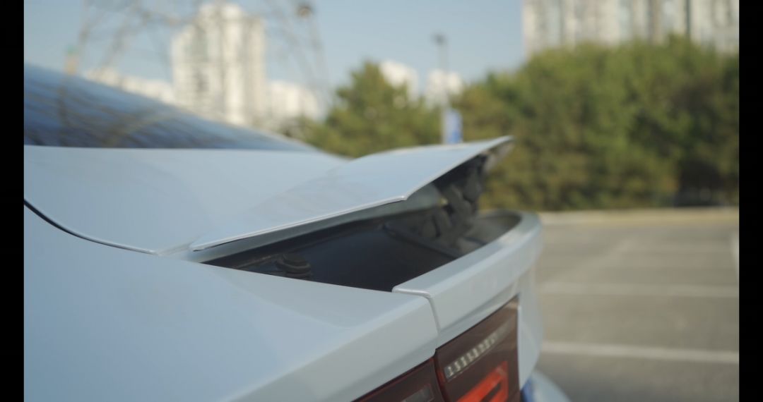 能文能武，扮虎吃猪，灯厂A7，掀背无敌