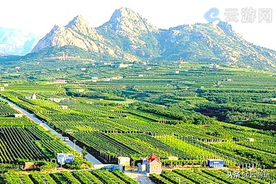 青岛旅游攻略必去十大景点示意图,青岛最适宜旅游的景点有几个