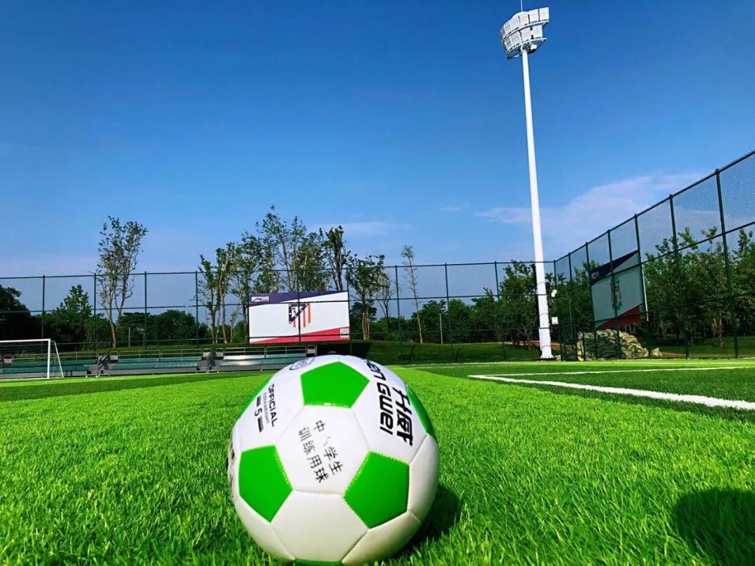 西安杜邑足球场是免费的吗,杜邑运动公园足球场费用