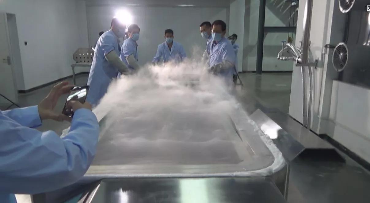 人体冷冻细胞会死亡吗,动物液氮冷冻实验有成功复活过吗