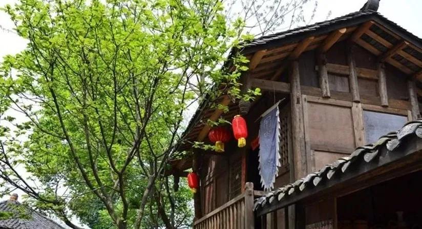 又是人间四月天踏青赏花正当时,正是人间芳菲时