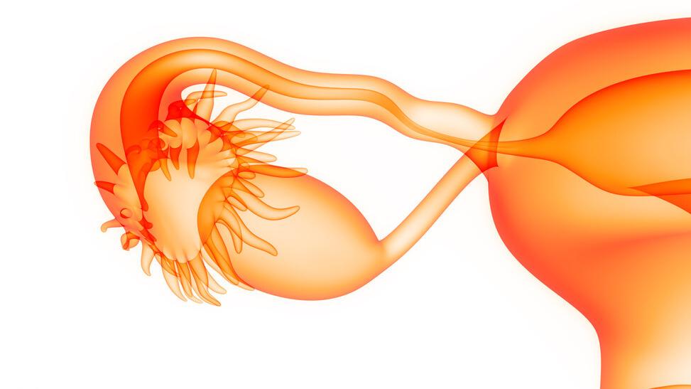 如何跟男朋友委婉科普大姨妈,怎么感知大姨妈的到来