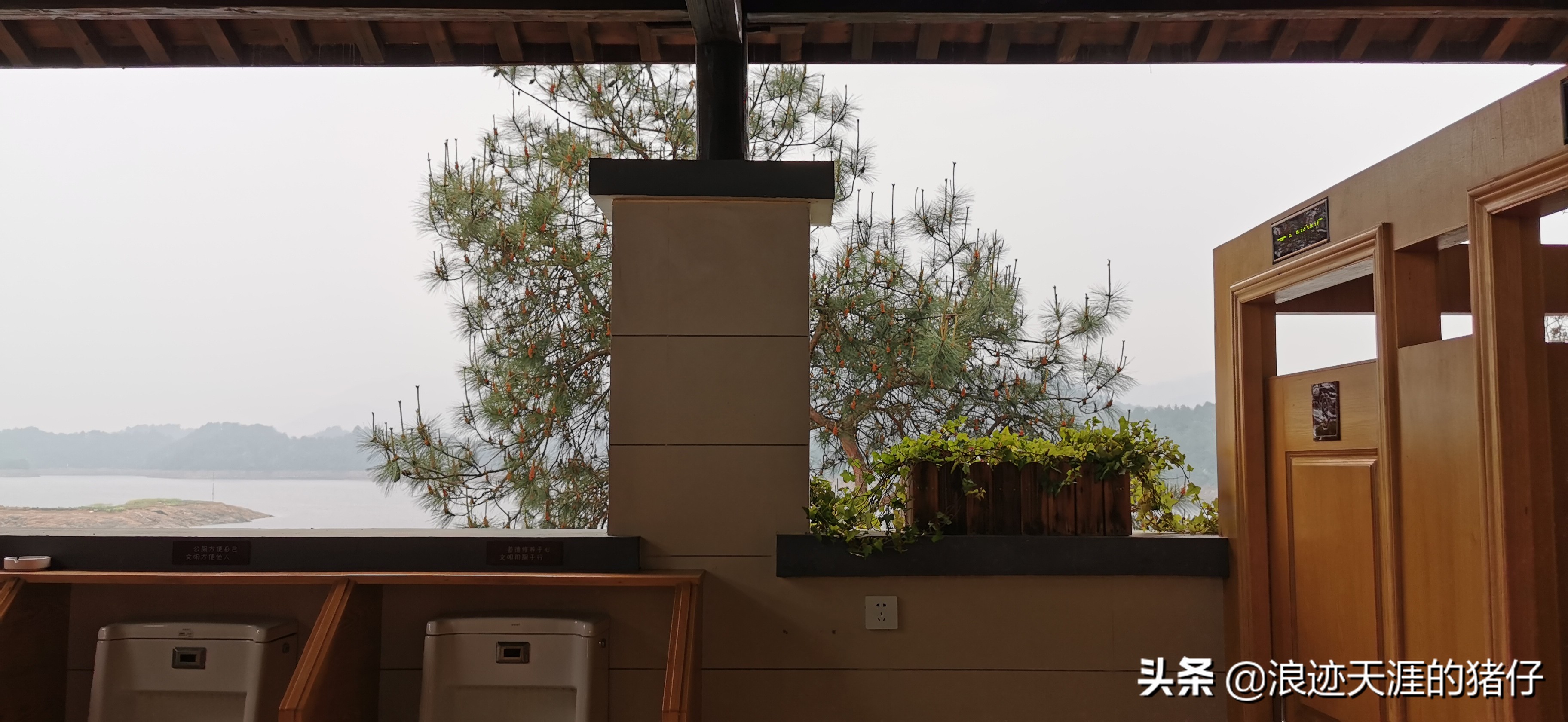 千岛湖疫情政策,千岛湖景区半价优惠