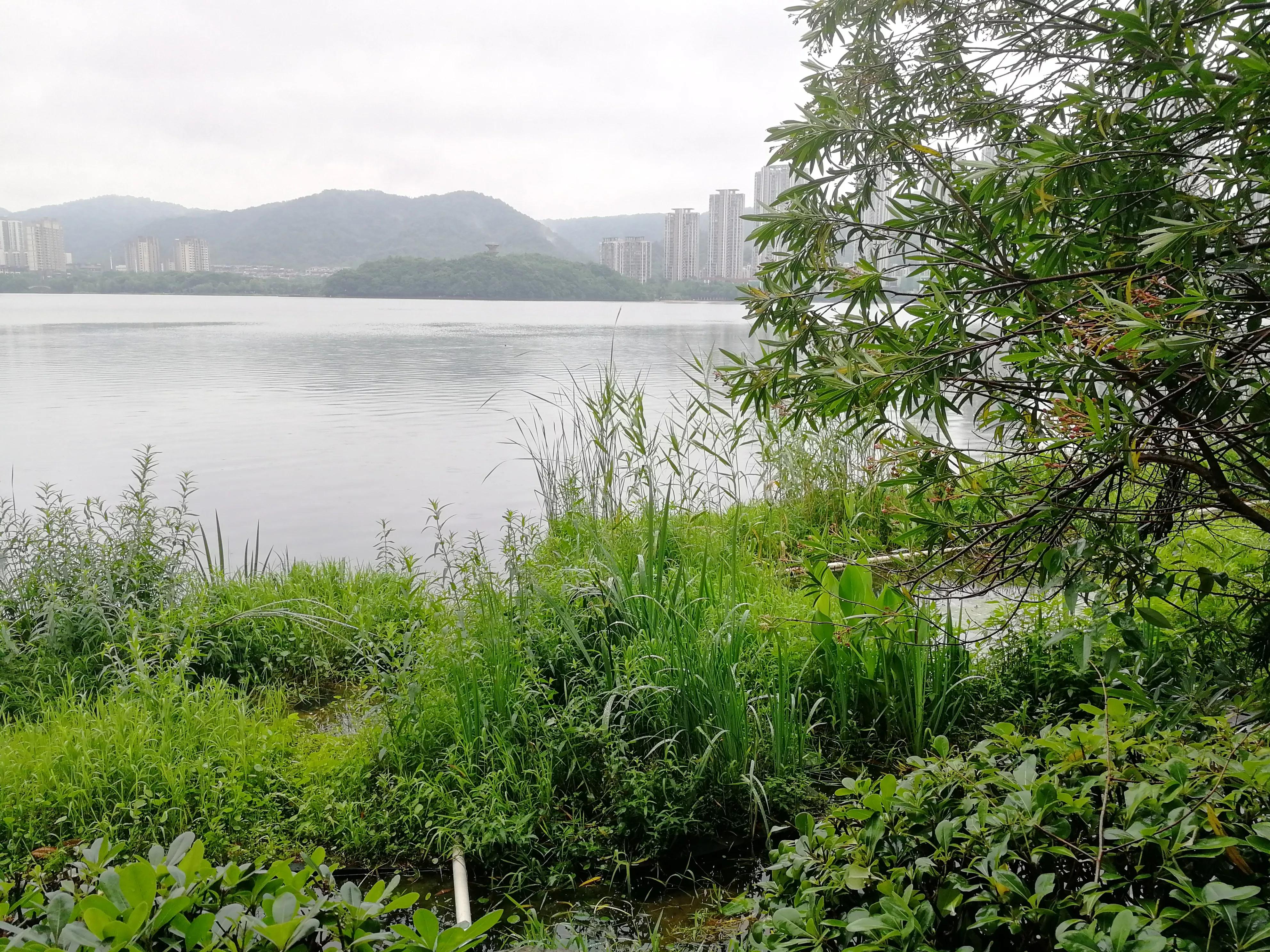 长沙梅溪湖,长沙梅溪湖步步高