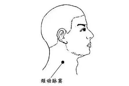 人的脆弱部位有哪些,人身上脆弱的部位