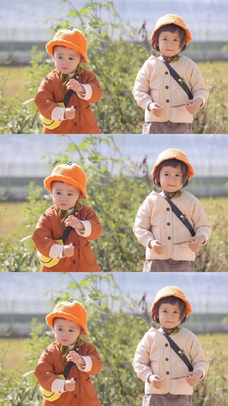 威本联盟壁纸,威本联盟壁纸高清图片