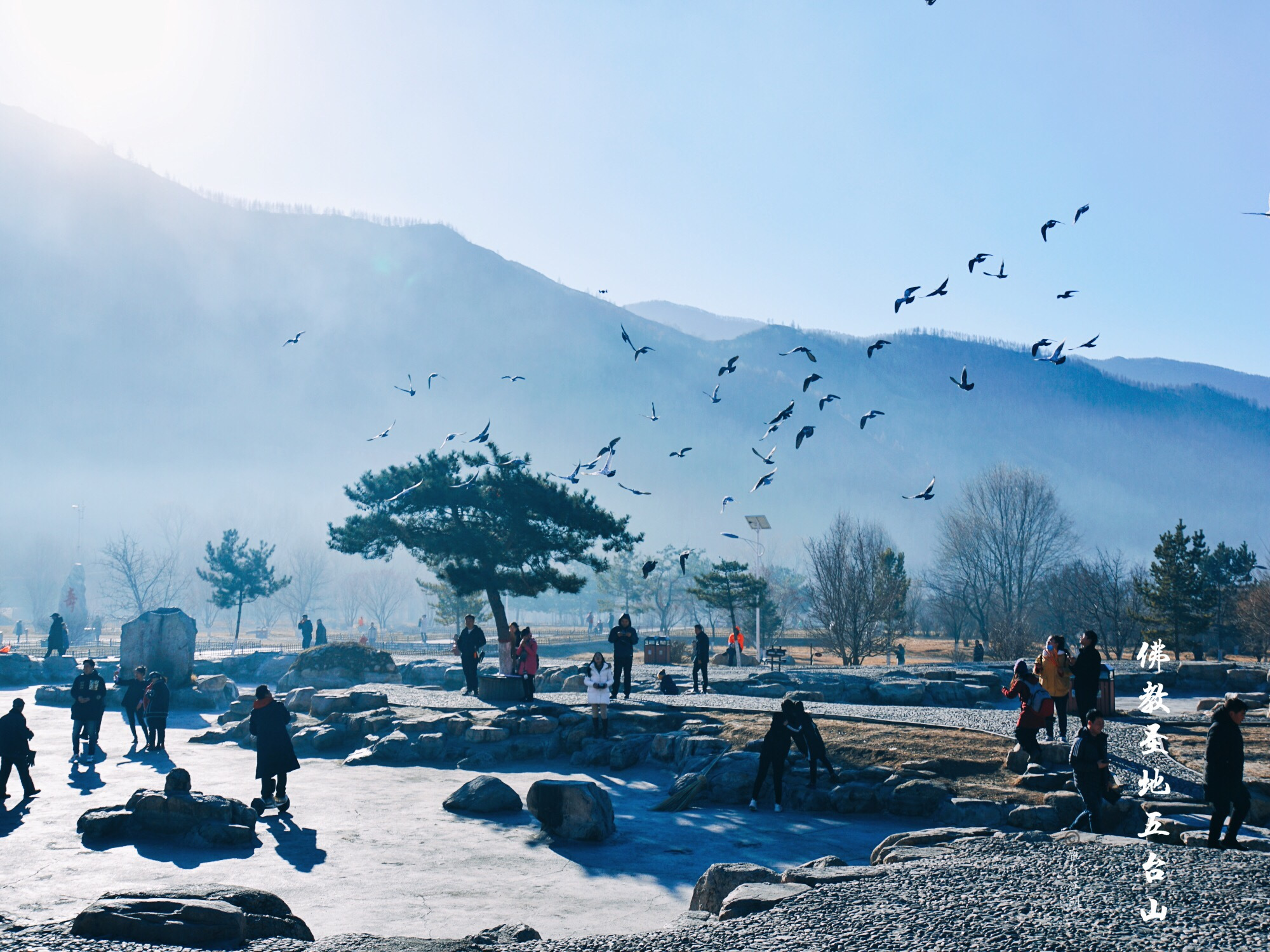 中国皇家寺庙曾九个皇帝出家,佛教最出名的几个道场分别是哪里