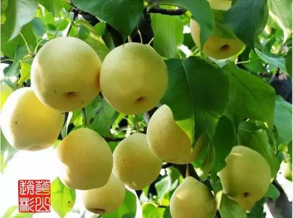 我心中的家乡吉林,我心中的美丽家乡