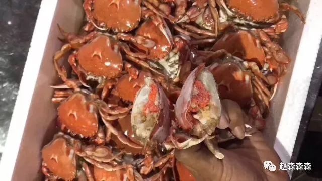 战斗民族的美食,战斗民族的美食视频